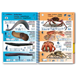 MARINE PICTOLIFE. MEDITERRANEAN SEA 5