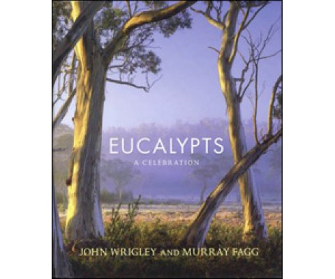 EUCALYPTS. A CELEBRATION