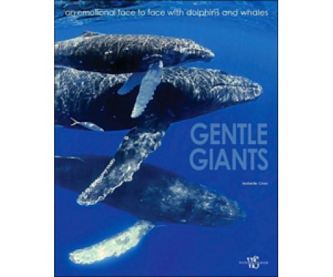 GENTLE GIANTS. AN EMOTIONAL FACE TO FACE WITH DOLPHINS AND WHALES