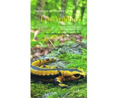 NATURALEZA EN CASTILLA Y LEÓN. LOS ANFIBIOS