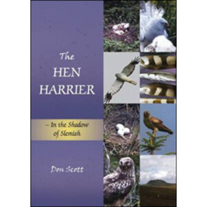 THE HEN HARRIER. IN THE SHADOW OF SLEMISH