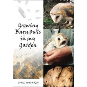 GROWING BARN OWLS IN MY GARDEN