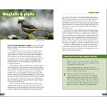 A FIELD GUIDE TO MONITORING NESTS 2