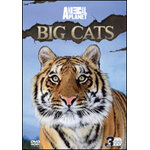 DVD ANIMAL PLANET. BIG CATS