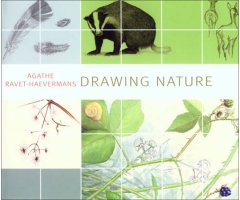 DRAWING NATURE