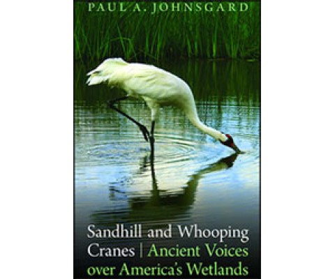 SANDHILL AND WOOPING CRANES. ANCIENT VOICES OVER AMERICA'S WETLANDS