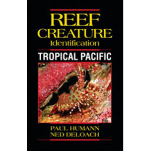 REEF CREATURE IDENTIFICATION. TROPICAL PACIFIC