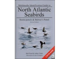 MULTIMEDIA IDENTIFICATION GUIDE TO NORTH ATLANTIC SEABIRDS: STORM-PETRELS & BULWER'S PETREL 2