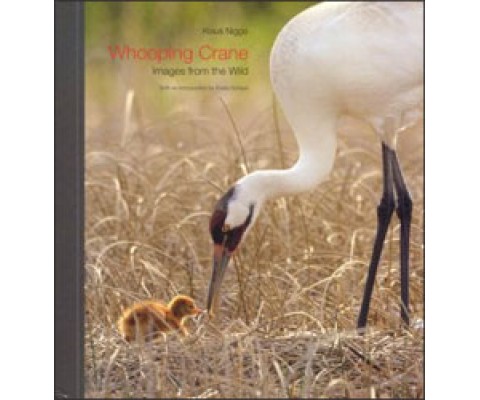 WHOOPING CRANE. IMAGES FROM THE WILD