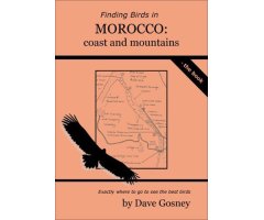 FINDING BIRDS IN MOROCCO. COAST AND MOUNTAINS
