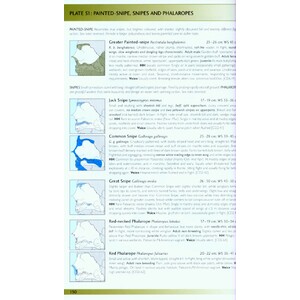 HELM FIELD GUIDES. BIRDS OF SENEGAL AND THE GAMBIA_1