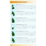 HELM FIELD GUIDES. BIRDS OF SRI LANKA 4