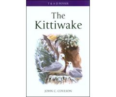 THE KITTIWAKE
