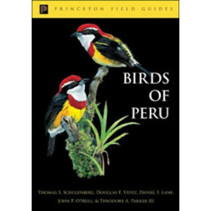 PRINCETON FIELD GUIDES. BIRDS OF PERU.