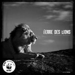 TERRE DES LIONS