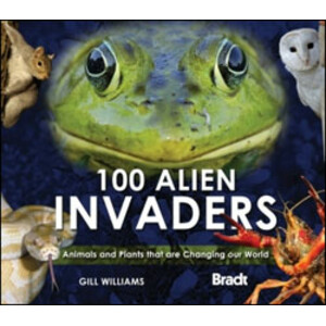 100 ALIEN INVADERS
