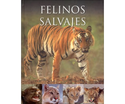 FELINOS SALVAJES
