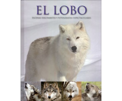 EL LOBO. ESCENAS FASCINANTES Y FOTOGRAFIAS ESPECTACULARES