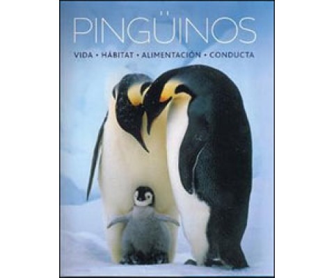 PINGÜINOS. VIDA, HÁBITAT, ALIMENTACIÓN , CONDUCTA