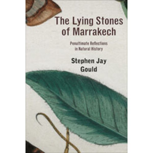 THE LYING STONES OF MARRAKECH. PENULTIMATE REFLECTIONS IN NATURAL HISTORY