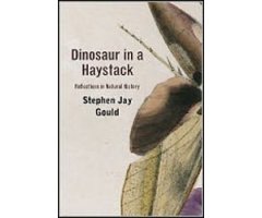 DINOSAUR IN A HAYSTACK. REFLECTIONS IN NATURAL HISTORY 2