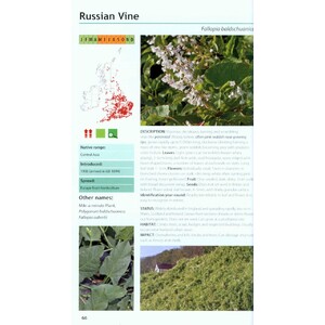 FIELD GUIDE TO THE INVASIVE PLANTS AND ANIMALS IN BRITAIN_1
