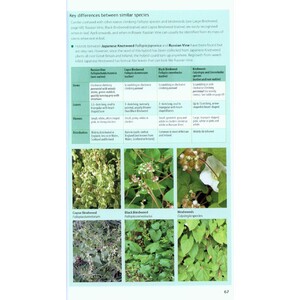 FIELD GUIDE TO THE INVASIVE PLANTS AND ANIMALS IN BRITAIN 3