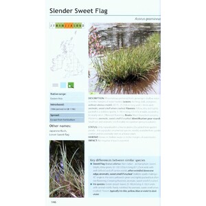 FIELD GUIDE TO THE INVASIVE PLANTS AND ANIMALS IN BRITAIN 4