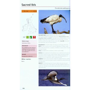 FIELD GUIDE TO THE INVASIVE PLANTS AND ANIMALS IN BRITAIN 5