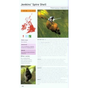 FIELD GUIDE TO THE INVASIVE PLANTS AND ANIMALS IN BRITAIN 6