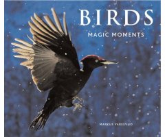 BIRDS. MAGIC MOMENTS