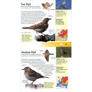 BIRDS OF BRITAIN AND EUROPE_1