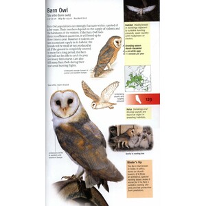 BIRDS OF BRITAIN AND EUROPE 3