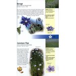 MEDICINAL PLANTS OF BRITAIN AND EUROPE 6