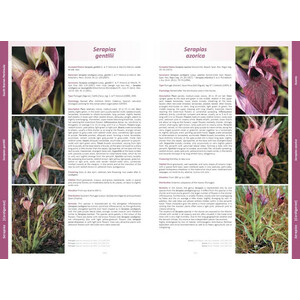 ORCHIDS OF EUROPE, NORTH AFRICA AND THE MIDDLE EAST_1