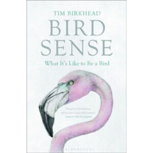 BIRD SENSE. WHAT IT IS LIKE TO BE A BIRD