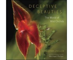DECEPTIVE BEAUTIES. THE WORLD OF WILD ORCHIDS