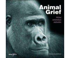 ANIMAL GRIEF. HOW ANIMALS MOURN
