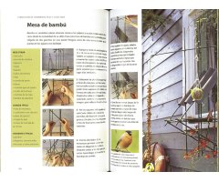 GUÍA PARA ATRAER A LAS AVES A SU JARDÍN 2