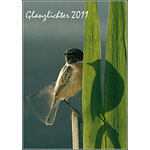 GLANZLICHTER 2011