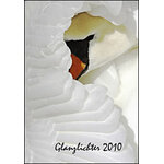 GLANZLICHTER 2010