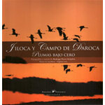 JILOCA Y CAMPO DE DAROCA. PLUMAS BAJO CERO