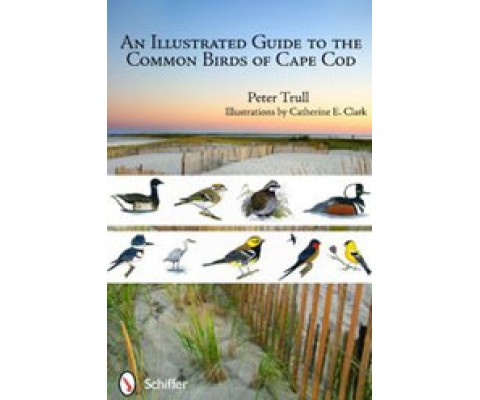AN ILLUSTRATED GUIDE TO THE COMMON BIRDS OF CAPE COD