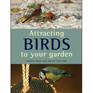 ATTRACTING BIRDS TO YOUR GARDEN
