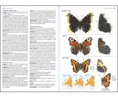 MARIPOSAS DE ESPAÑA Y EUROPA 3