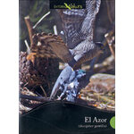 DVD EL AZOR (ACCIPITER GENTILIS)
