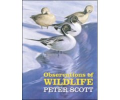 OBSERVATIONS OF WILDLIFE. A FINE COLLECTION OF ARTWORKS AND A FITTING TRIBUTE TO THIS BRITISH CONSERVATIONIST