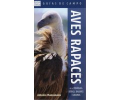 AVES RAPACES DE LA PENÍNSULA IBÉRICA, BALEARES Y CANARIAS. GUÍAS DE CAMPO