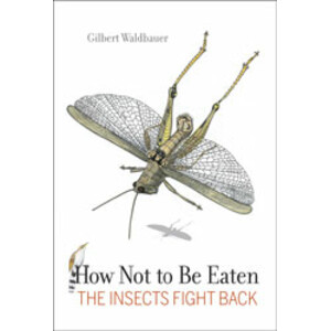 HOW NOT TO BE EATEN. THE INSECT FIGHT BACK