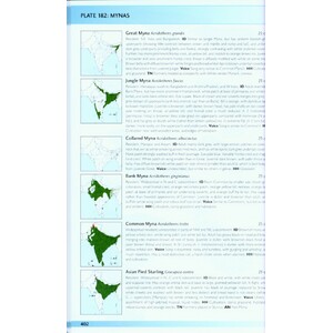 HELM FIELD GUIDES. BIRDS OF THE INDIAN SUBCONTINENT 4